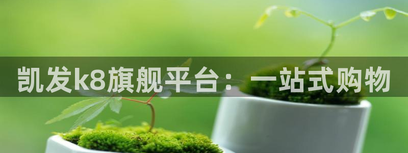 佛山聚富酒店：凯发k8旗舰平台：一站式购物