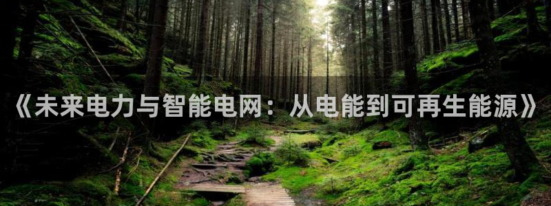 聚富企业：《未来电力与智能电网：从电能到可再生能源》
