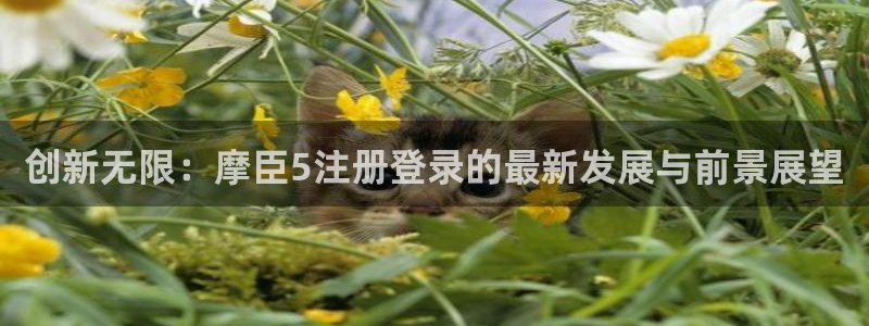 聚富西餐厅：创新无限：摩臣5注册登录的最新发展与前景展望