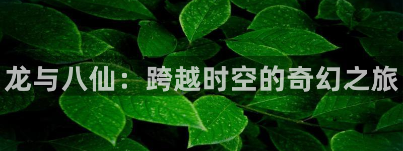 聚富6号年金保险万能型 收益：龙与八仙：跨越时空的奇幻之旅