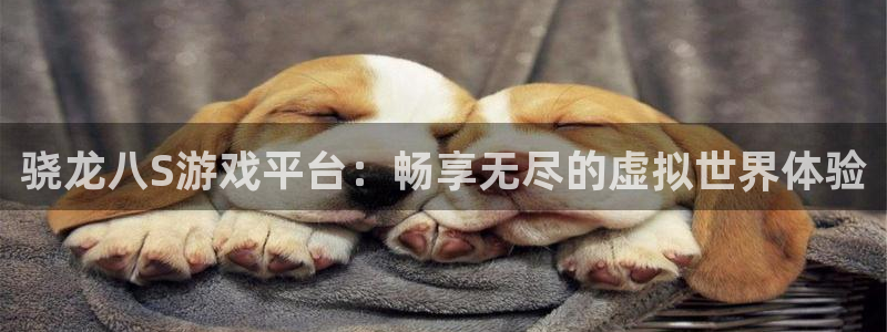 广丰聚富：骁龙八S游戏平台：畅享无尽的虚拟世界体验