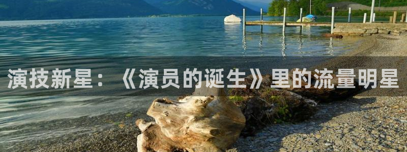 中航天玑聚富：演技新星：《演员的诞生》里的流量明星