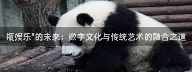 聚富饭店：瓶娱乐\