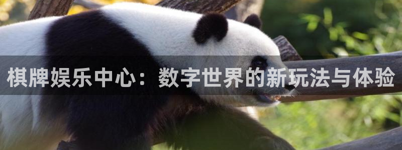 聚富pk10赛车：棋牌娱乐中心：数字世界的新玩法与体验