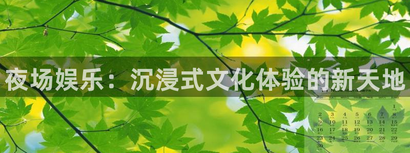稷山县聚富鑫建材有限公司：夜场娱乐：沉浸式文化体验的新天地