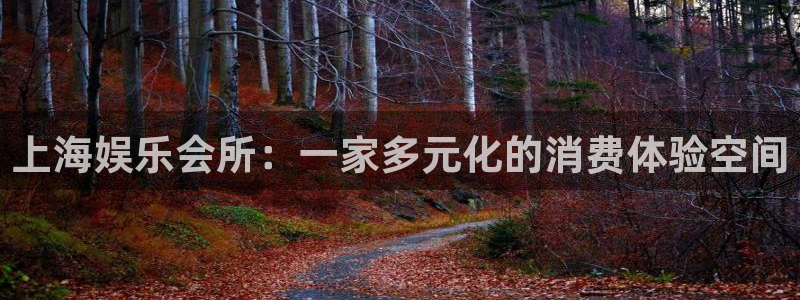 邵阳市聚富房地产开发有限责任公司：上海娱乐会所：一家多元化的消费体验空间