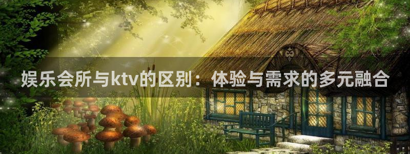 聚富财经股票软件：娱乐会所与ktv的区别：体验与需求的多元融合