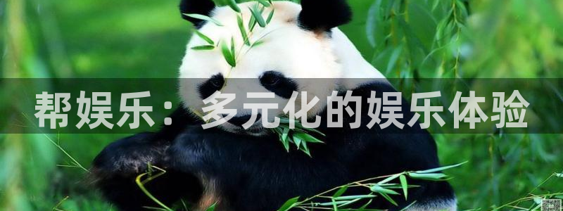 厦门聚富塑胶制品：帮娱乐：多元化的娱乐体验