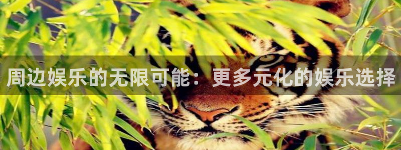 上海灿虹聚富大厦办公楼出租：周边娱乐的无限可能：更多元化的娱乐选择