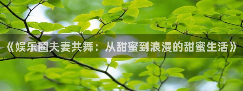 南峰聚富家园：《娱乐圈夫妻共舞：从甜蜜到浪漫的甜蜜生活》
