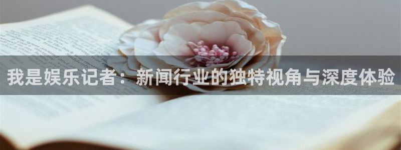 工银聚富482o02：我是娱乐记者：新闻行业的独特视角与深度体验