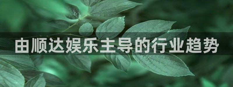 聚富是什么意思：由顺达娱乐主导的行业趋势