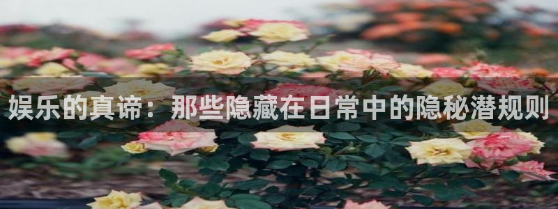 聚富：娱乐的真谛：那些隐藏在日常中的隐秘潜规则
