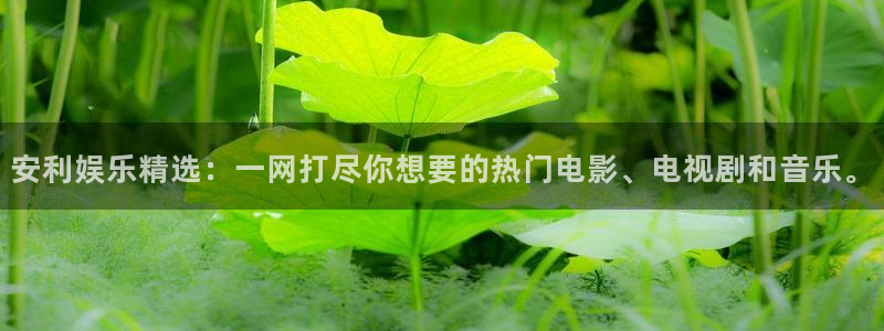 东莞聚富风机：安利娱乐精选：一网打尽你想要的热门电影、电视剧和音乐。