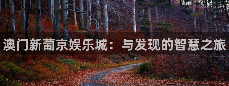 聚富团队：澳门新葡京娱乐城：与发现的智慧之旅