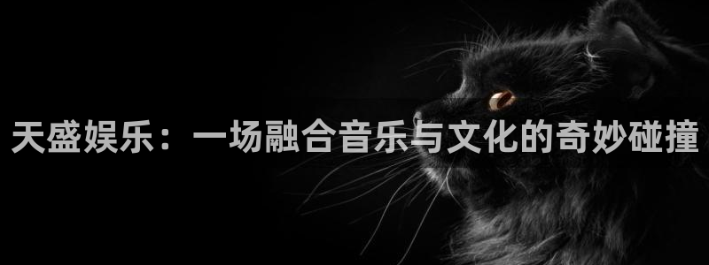 聚富汽贸园：天盛娱乐：一场融合音乐与文化的奇妙碰撞