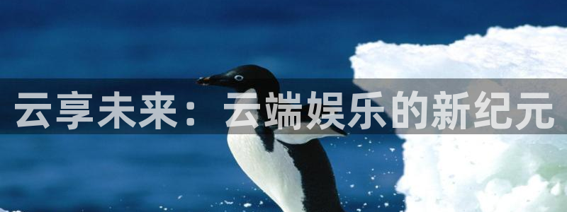 聚富小贷