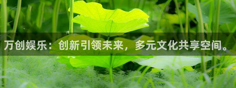 聚富宝袋