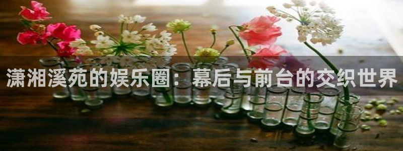 聚富网：潇湘溪苑的娱乐圈：幕后与前台的交织世界