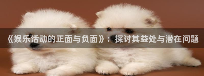 浙江聚富锡箔纸生产厂家：《娱乐活动的正面与负面》：探讨其益处与潜在问题