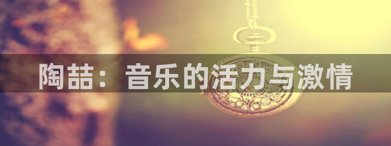 成都聚富联科技有限公司：陶喆：音乐的活力与激情