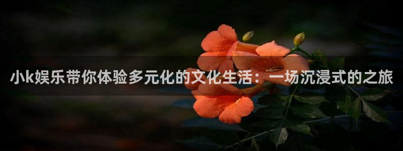 中航天启328号天玑聚富：小k娱乐带你体验多元化的文化生活：一场沉浸式的之旅