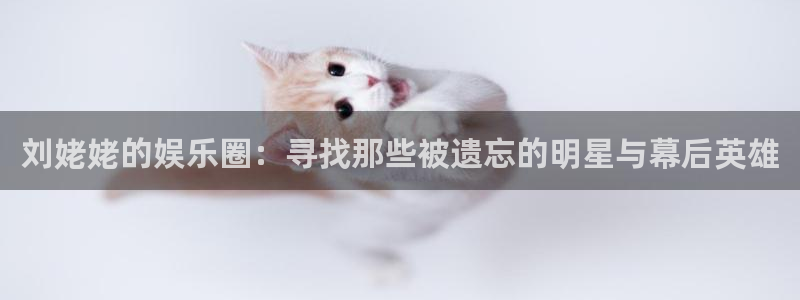 离石聚富花园最新消息：刘姥姥的娱乐圈：寻找那些被遗忘的明星与幕后英雄