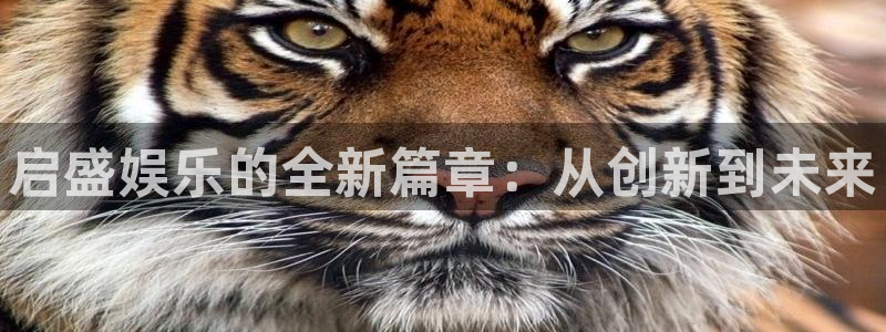 聚富分期：启盛娱乐的全新篇章：从创新到未来