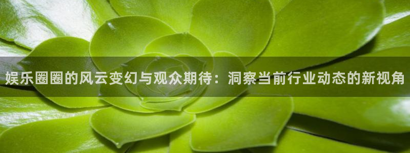 聚富是什么意思：娱乐圈圈的风云变幻与观众期待：洞察当前行业动态的新视角