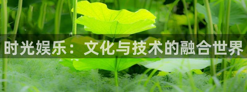东莞常平聚富花园别墅：时光娱乐：文化与技术的融合世界