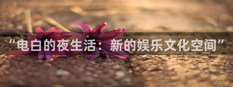 深圳聚富寓：“电白的夜生活：新的娱乐文化空间”